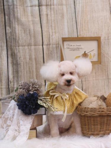 20241018あんちゃん